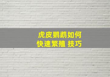 虎皮鹦鹉如何快速繁殖 技巧